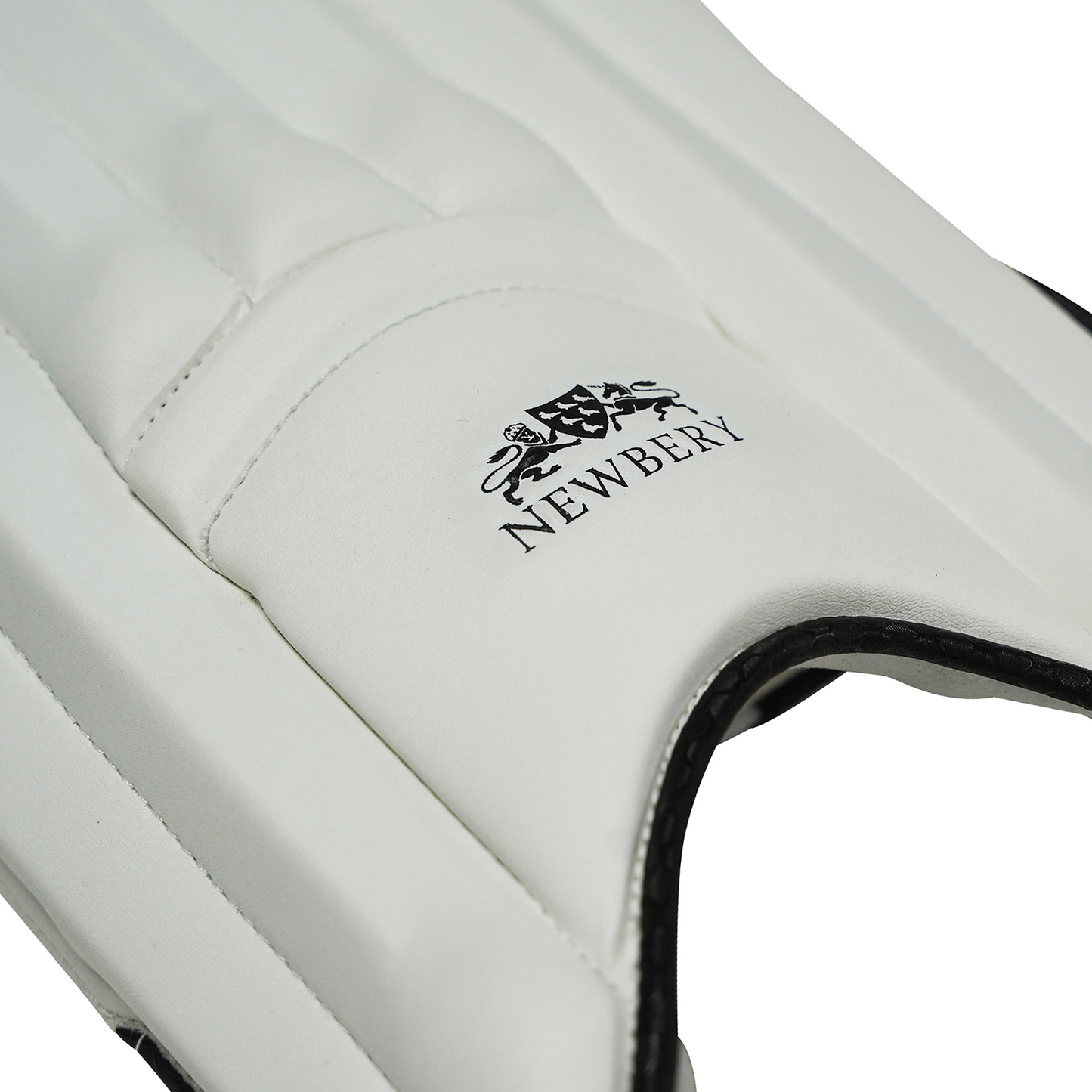 Newbery - Player Cricket Batting Pads