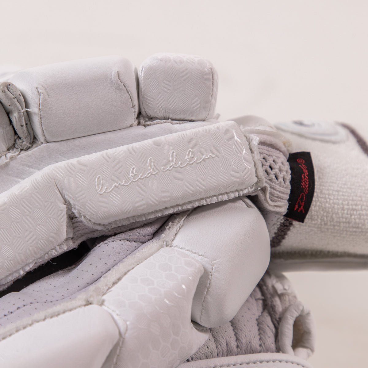 Focus 2024 cricket gloves