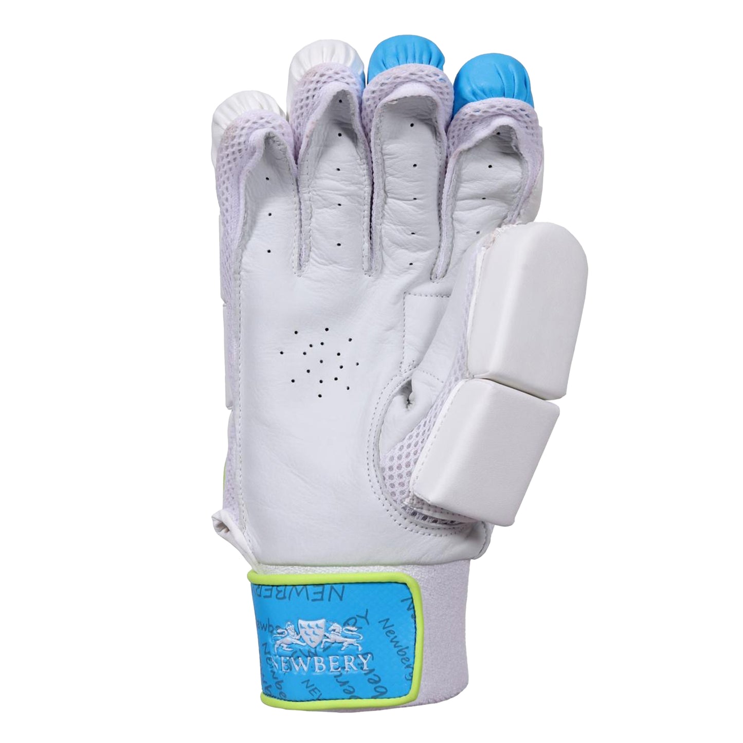 Newbery - Pulse Cricket Batting Gloves