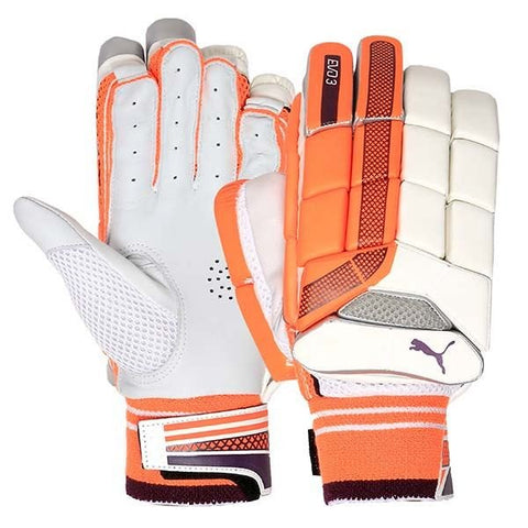 Puma Evo3 Cricket Batting Gloves